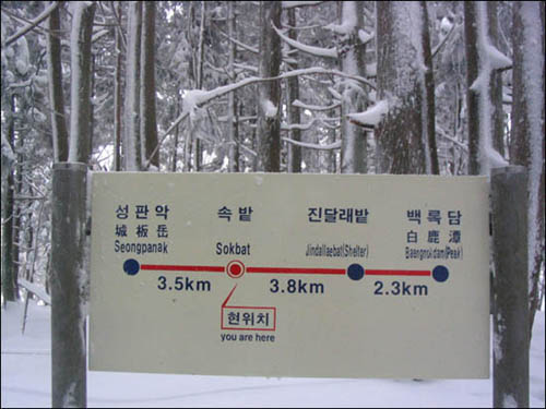 성판악에서 속밭까지 3.5km 